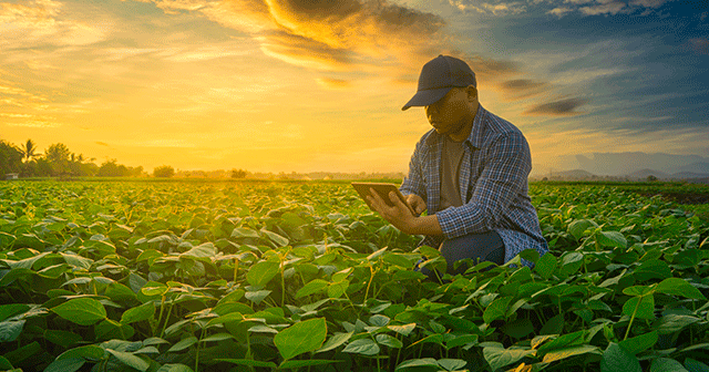 Blog header Farmer kneeling in field with tablet