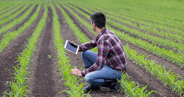 News Insights Farmer with tablet in field