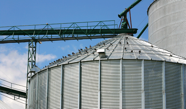 Grain bin