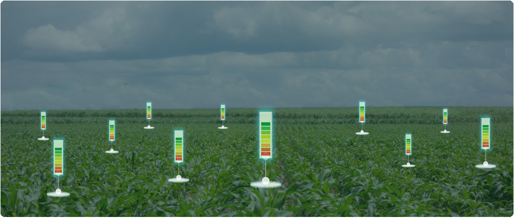 Cropfield with water level indicators