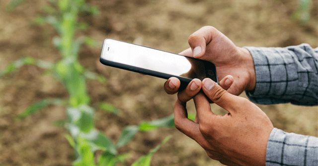 Blog header Farmer's hands holding phone
