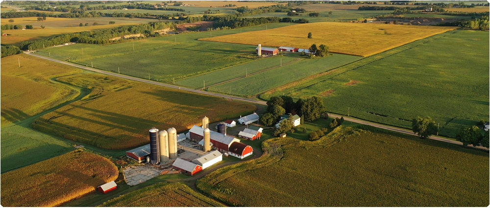 Aerial view of farmland