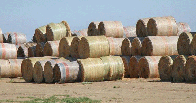 Ag Seasonal Hay Barrels