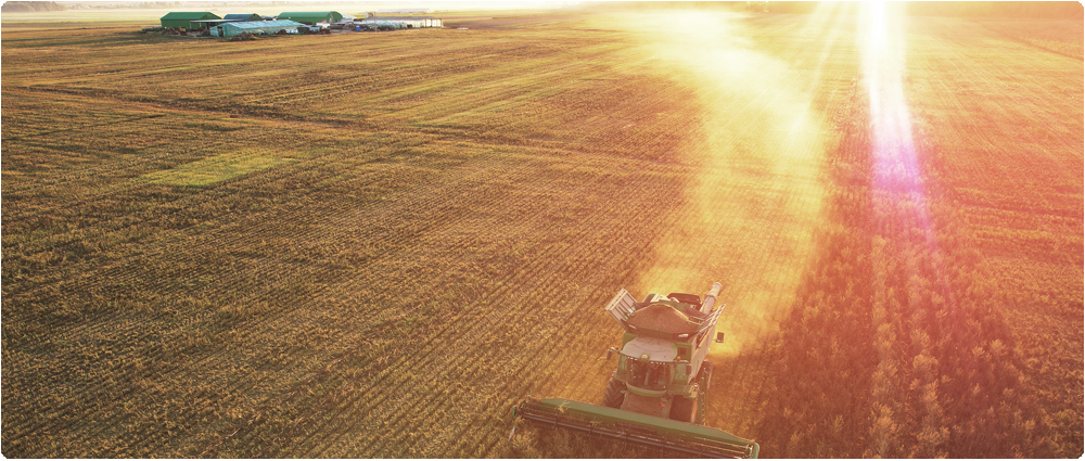 Tractor driving in field