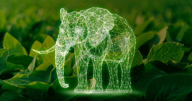 Digital elephant over soybean background blog header