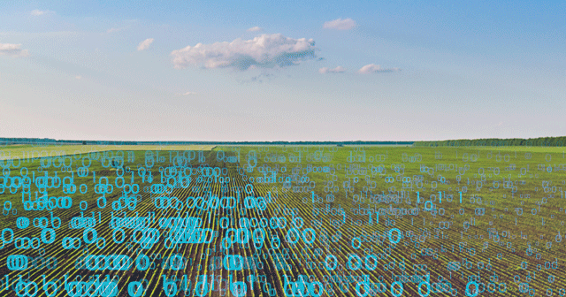 Agriculture field with data numbers