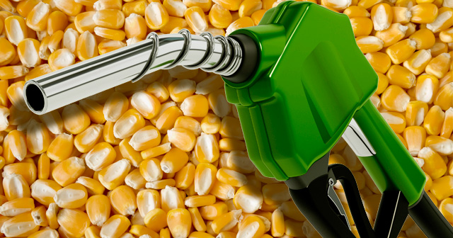 Gasoline pump over corn background