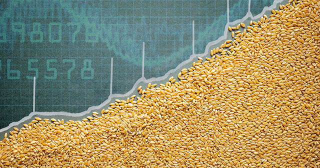 Grain market graph line