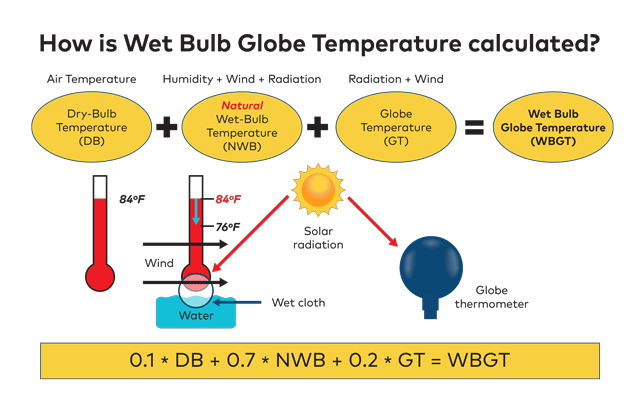 How is Wet Bulb Globe Temperature calculated?
