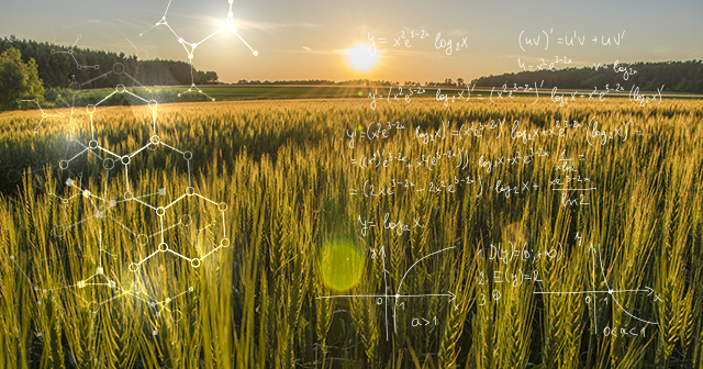 Sun shining over wheat field scribbled mathematical equations overlaid