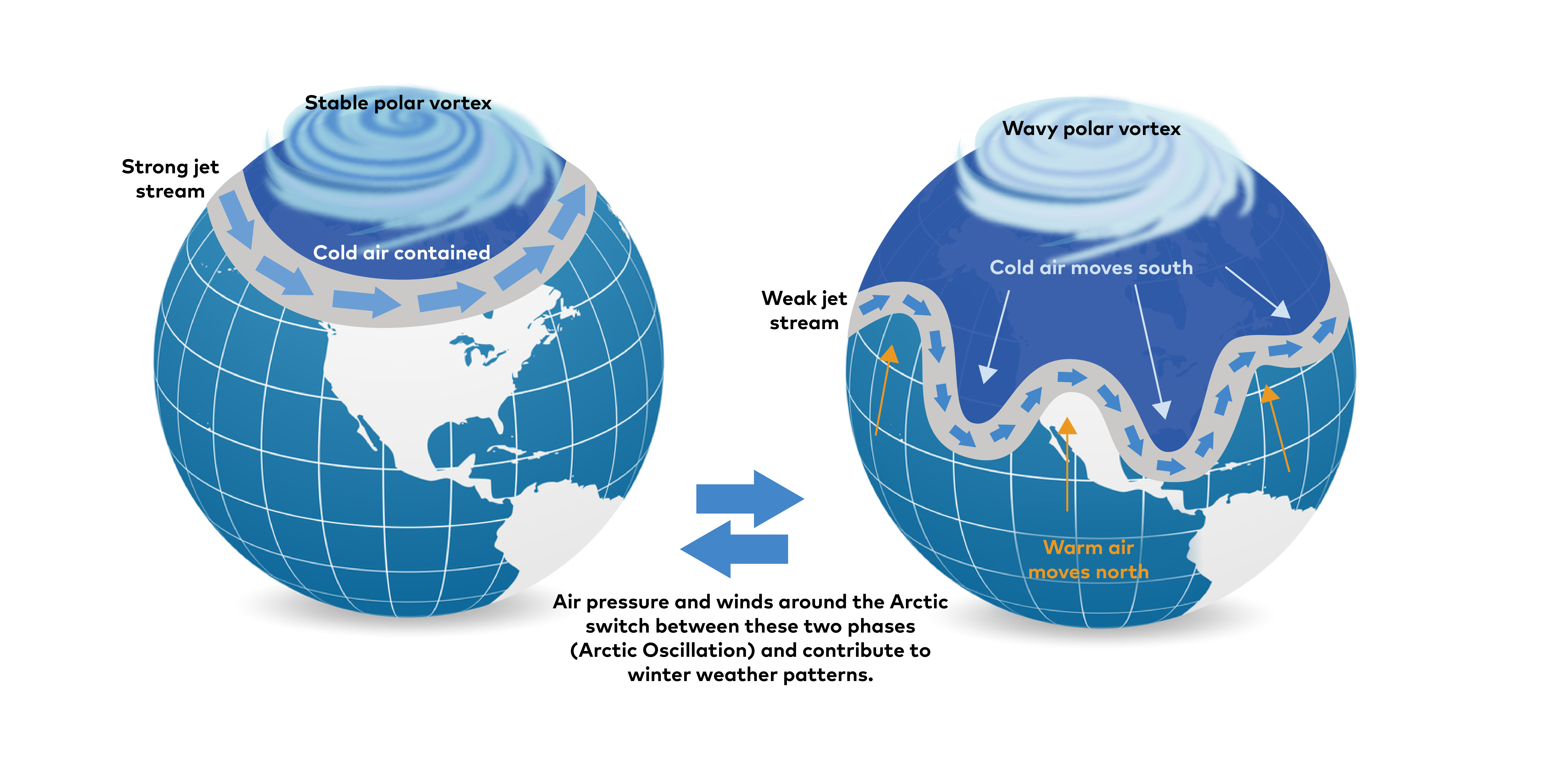 Stable polar vortex and Wavy polar vortex
