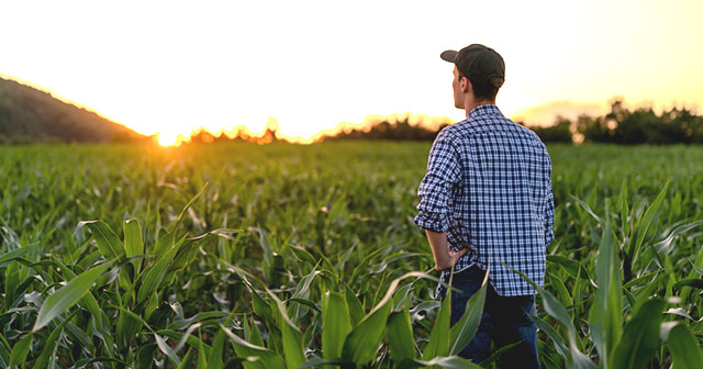 Young Farmer staring off in cornfield