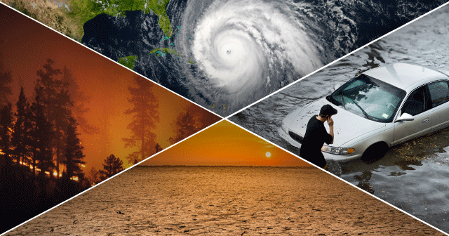 Four different disasters: Wildfire, Hurricane, Flood, Drought