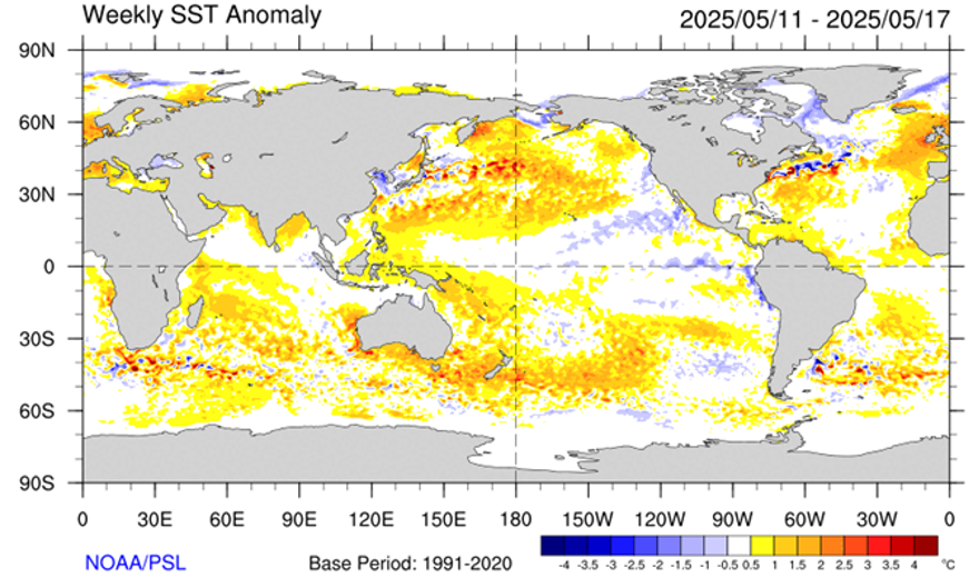 Weekly SST Anomaly