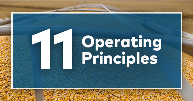 11 Operating Principles