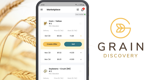 Grain Discovery